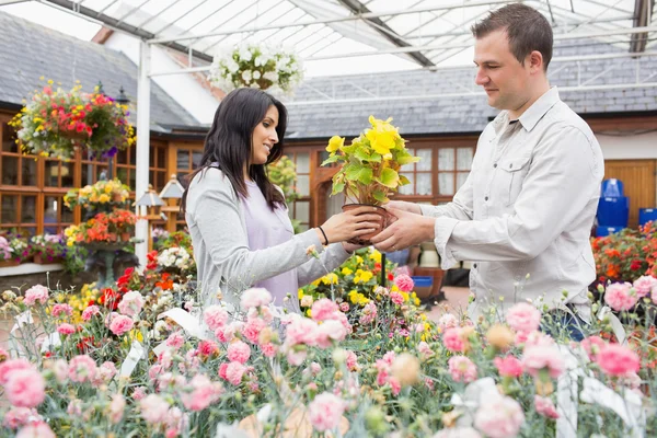 Pareja sosteniendo la flor amarilla — Foto de Stock