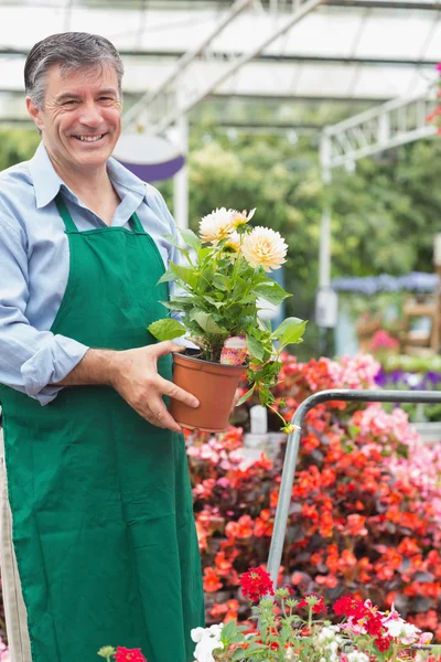 Jardinero sosteniendo una planta — Foto de Stock