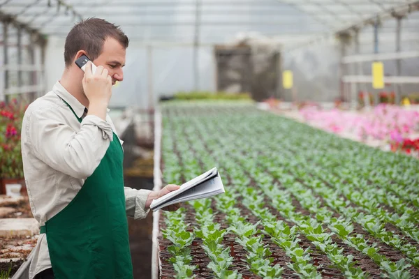 Jardinero llamando y tomando notas en invernadero —  Fotos de Stock