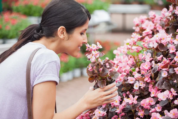 Mulher de cabelos pretos cheirando flor — Fotografia de Stock