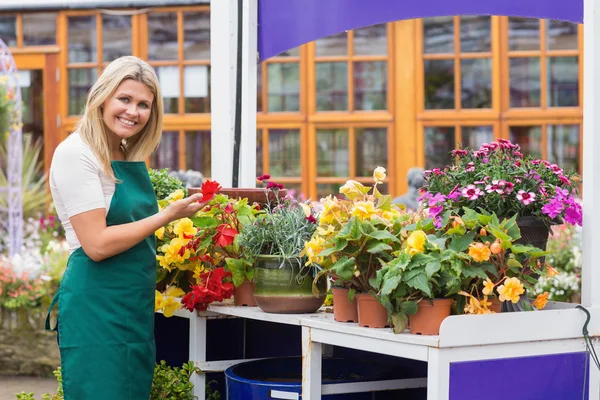 Operaio del Garden Center che cura i fiori — Foto Stock