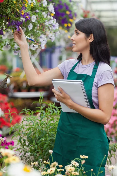 Brünette betrachtet Blumen und macht sich Notizen — Stockfoto