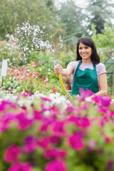 Mujer divirtiéndose mientras regando plantas con manguera —  Fotos de Stock