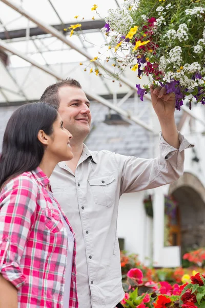 Pareja admirando cesta de flores colgando — Foto de Stock