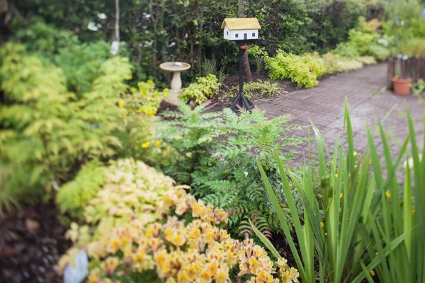Bujny ogród — Zdjęcie stockowe