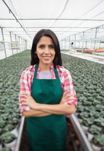 Greenhouse worker smiling in greenhouse nursery — Stock Photo, Image