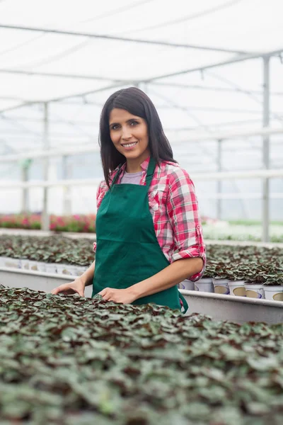 Kvinna som står bredvid raden av plantor — Stockfoto
