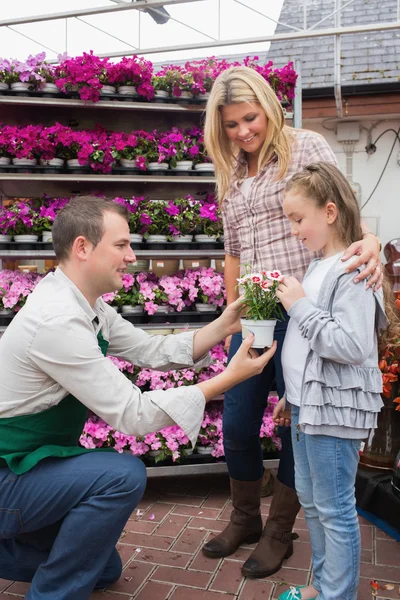Mitarbeiterin schenkt kleinem Mädchen im Gartencenter eine Blume — Stockfoto
