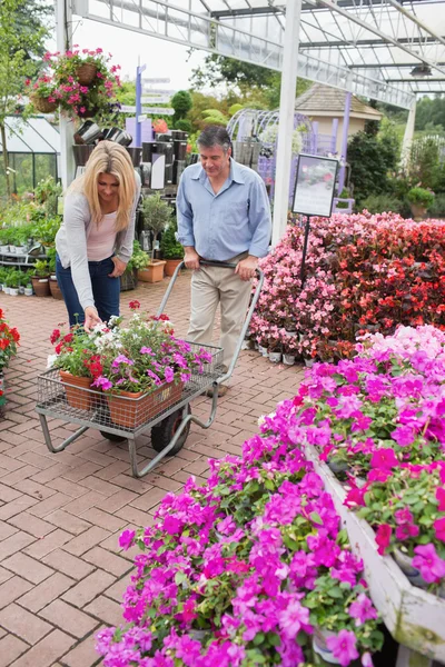 Couple putting flowers in trolley — Stock Photo, Image