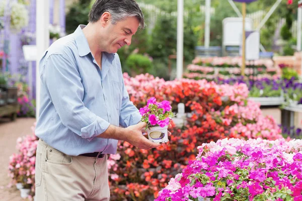 Homem pegando uma flor — Fotografia de Stock