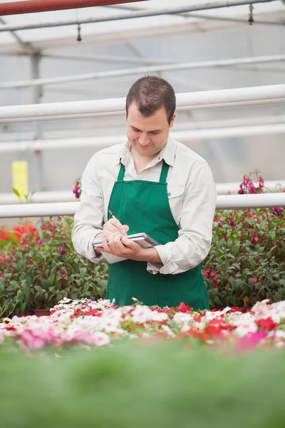 Man taking notes in greenhouse — Stock Photo, Image