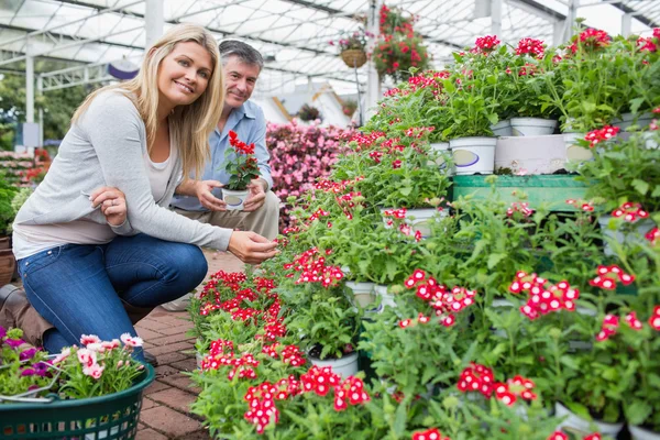 Vrouw die lacht terwijl op zoek naar planten met man die pot — Stockfoto