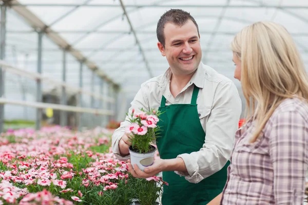 Vrouw beslissen over bloem met werknemer — Stockfoto