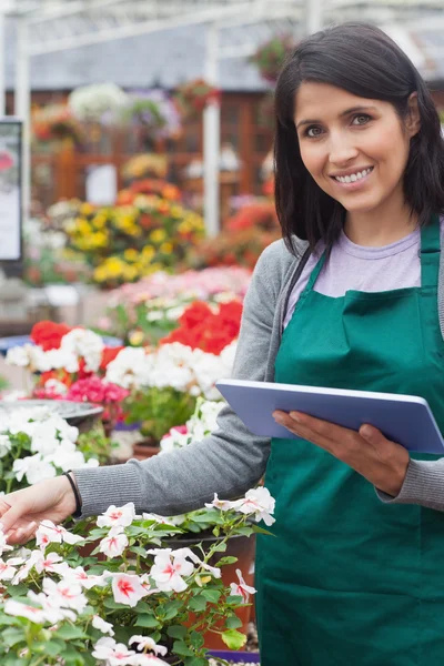 Trabalhador sorrindo verificando flores no centro do jardim — Fotografia de Stock