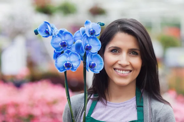 Brunette tuincentrum werknemer houden een bloem — Stockfoto