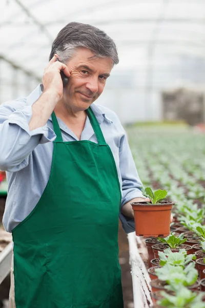 Assistant calling while holding a seedling — Stock Photo, Image