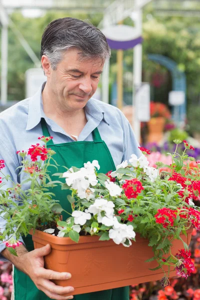 Jardinero sosteniendo cajas de plantas — Foto de Stock