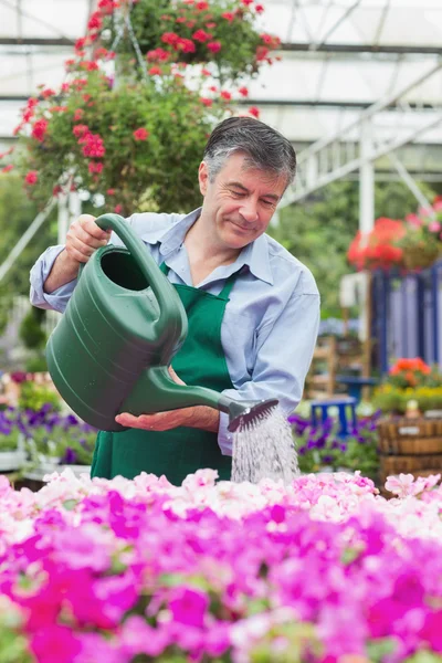 Улыбающийся мужчина поливает цветы — стоковое фото