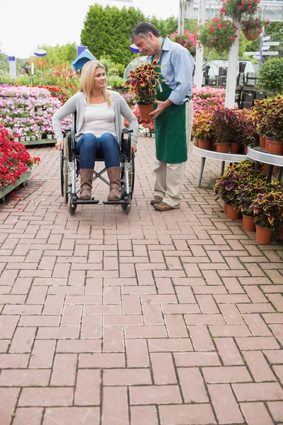 Mulher em cadeira de rodas comprar vaso planta — Fotografia de Stock