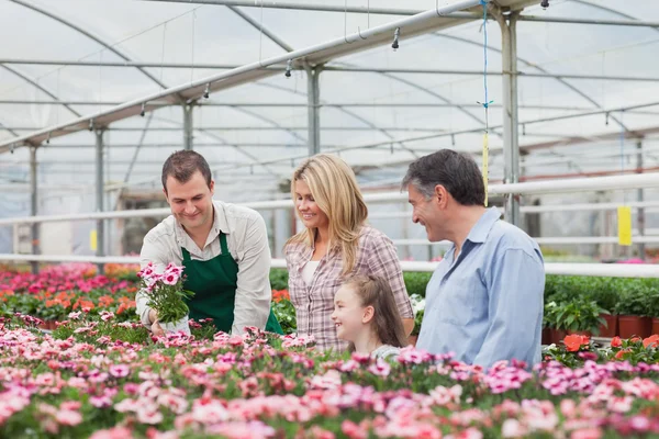 Family choosing a flower with employee in garden center — Stock Photo, Image