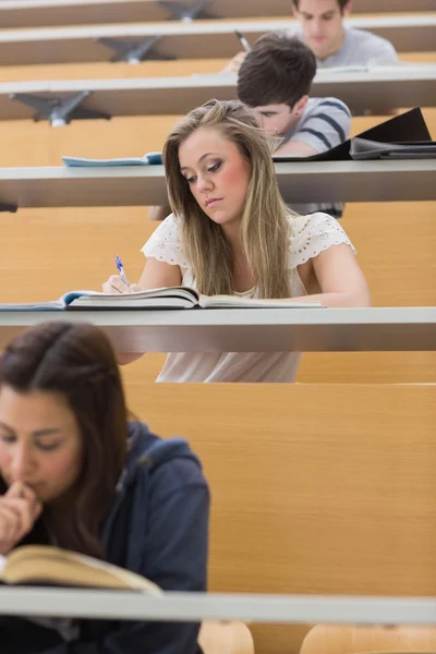 Students sitting at the lecture hall writing Stock Picture