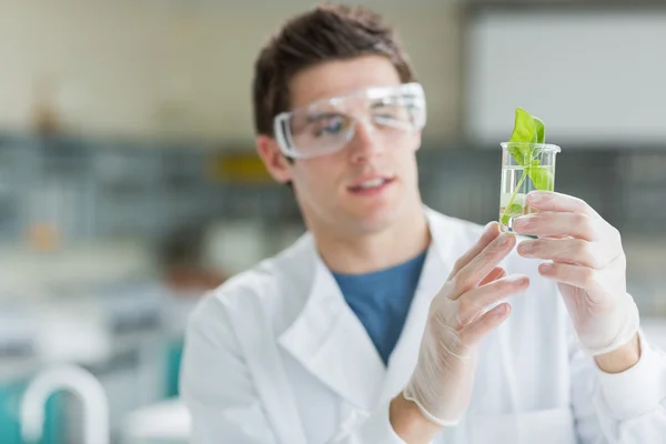 Student permanent in het laboratorium te kijken naar het bekerglas — Stockfoto