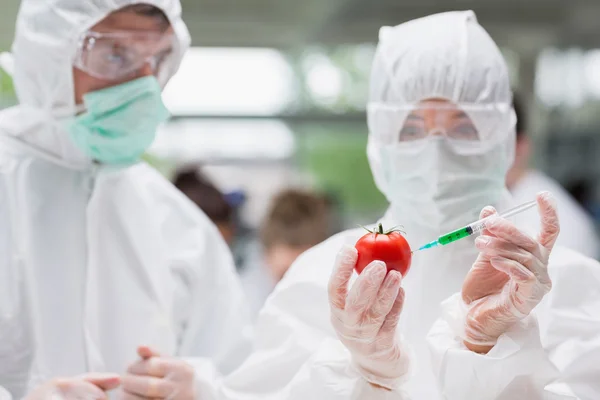 Estudiante inyectando tomate con líquido verde en el laboratorio como otro es —  Fotos de Stock