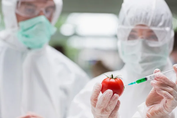 Students experimenting with a tomato — Stock Photo, Image
