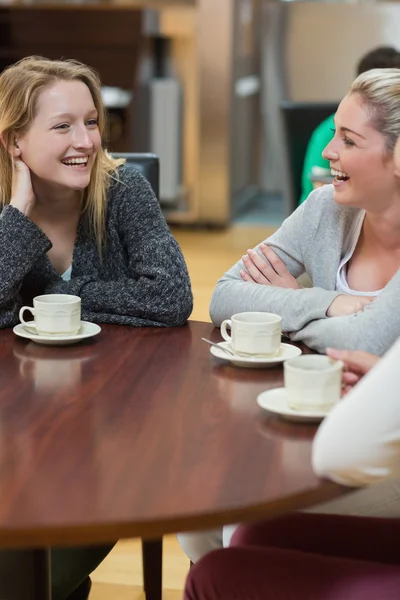 Mujeres sentadas en la cafetería riendo —  Fotos de Stock
