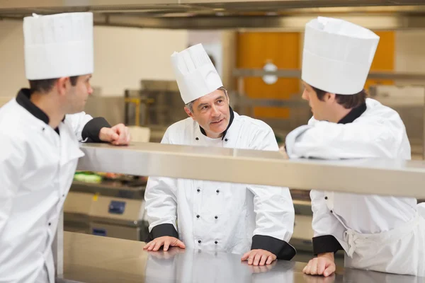 Three Chef's discussing — Stock Photo, Image