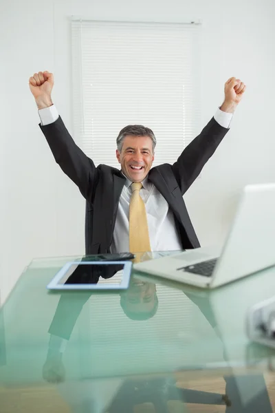 Homem de negócios desfrutando de seu sucesso Imagem De Stock