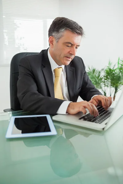Концентрированный бизнесмен, работающий над ноутбуком — стоковое фото