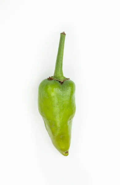 Green chili pepper — Stock Photo, Image