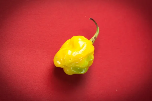 Желтый перец чили — стоковое фото