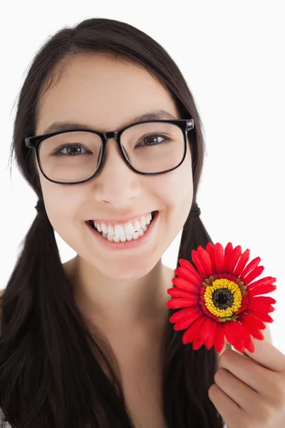 Donna felice che tiene un fiore con gli occhiali — Foto Stock