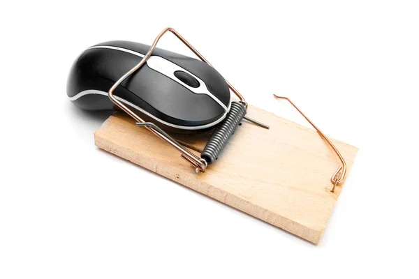 Mouse in a mousetrap — Stock Photo, Image