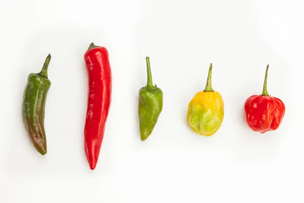 Krydret chili på linje – stockfoto