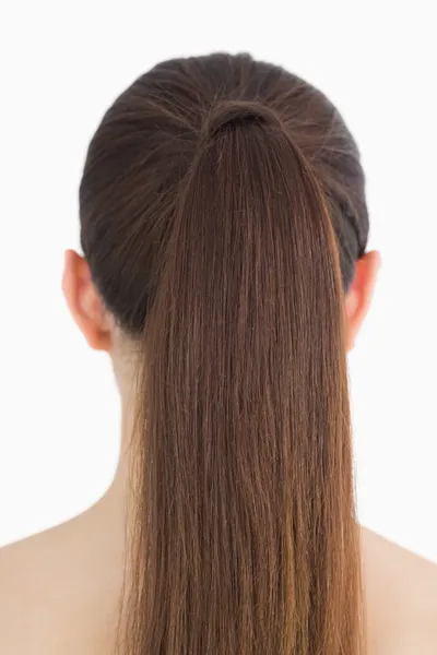 Mujer con cabello castaño largo — Foto de Stock