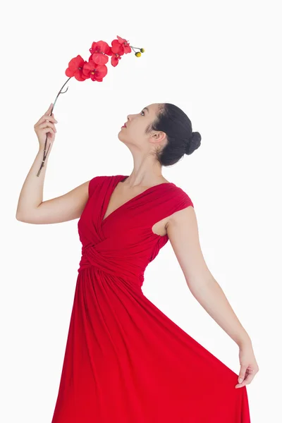女性が赤いドレスを着て蘭とポーズ — ストック写真