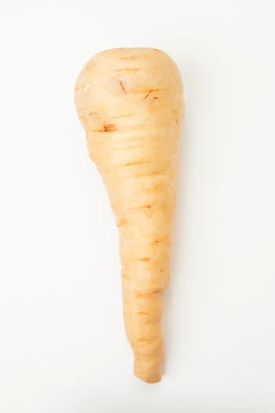 Parsnip — Stock Photo, Image