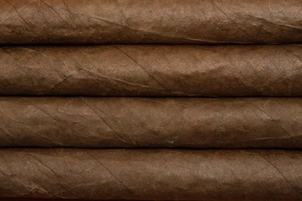 Närbild på cigarrer — Stockfoto