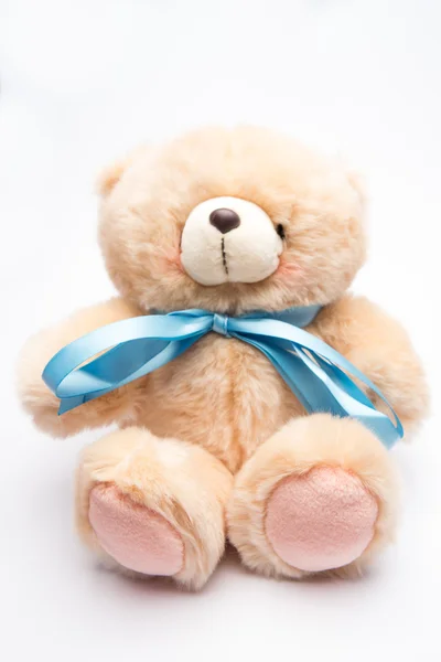 Teddy bear with blue ribbon — Stock Photo, Image