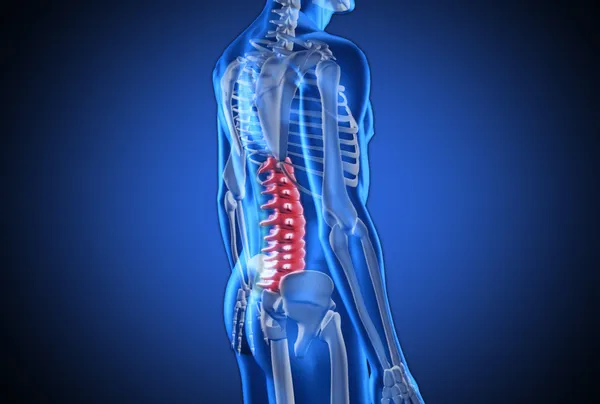 Humano azul digital con columna vertebral resaltada — Foto de Stock
