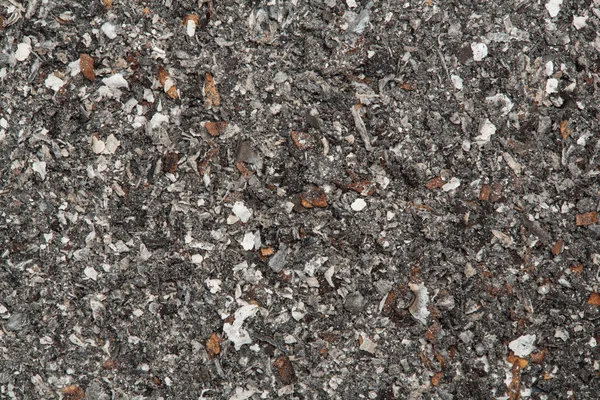 Close up of ash — Stock Photo, Image