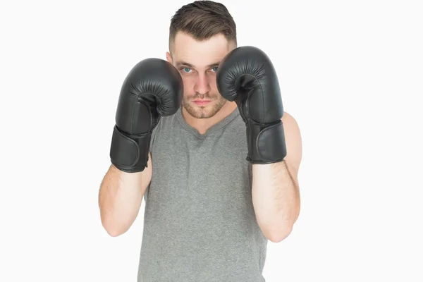 Portrait of young man in boxing stance — Stock Photo, Image