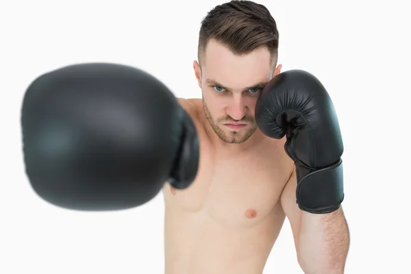 Portrait of young male boxer punching — Stock Photo, Image