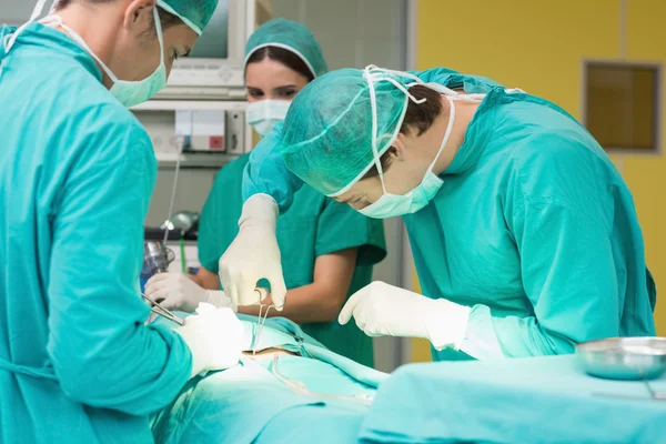 Surgeons working with a scissors on a patient — Stock Photo, Image