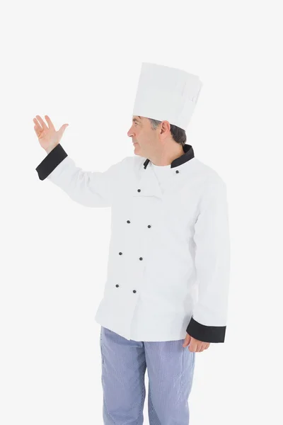 Chef displaying something on white background — Stock Photo, Image