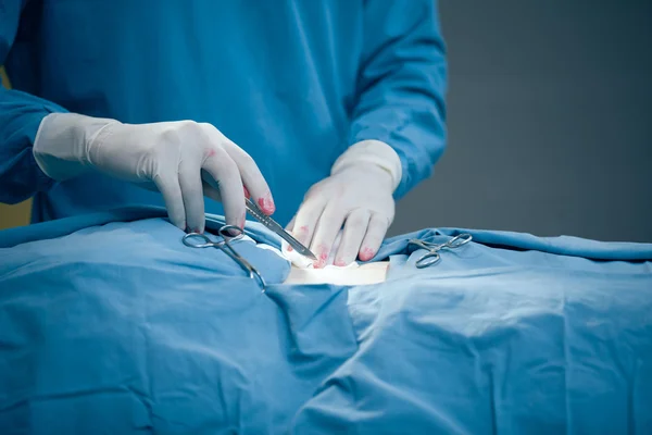 Chirurg schneidet Magen eines Patienten an — Stockfoto