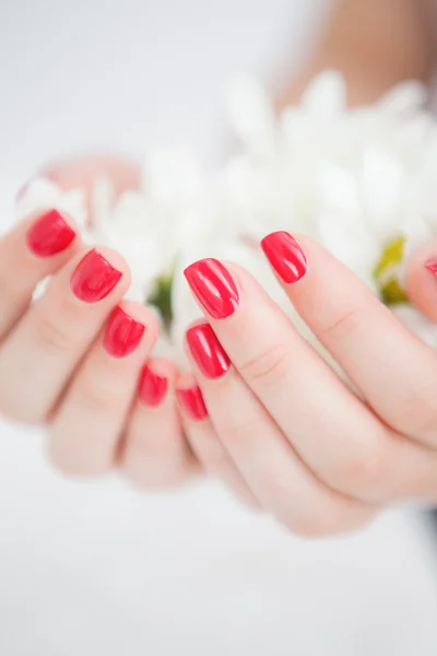 Manicured hands holding flowers — Stock Photo, Image